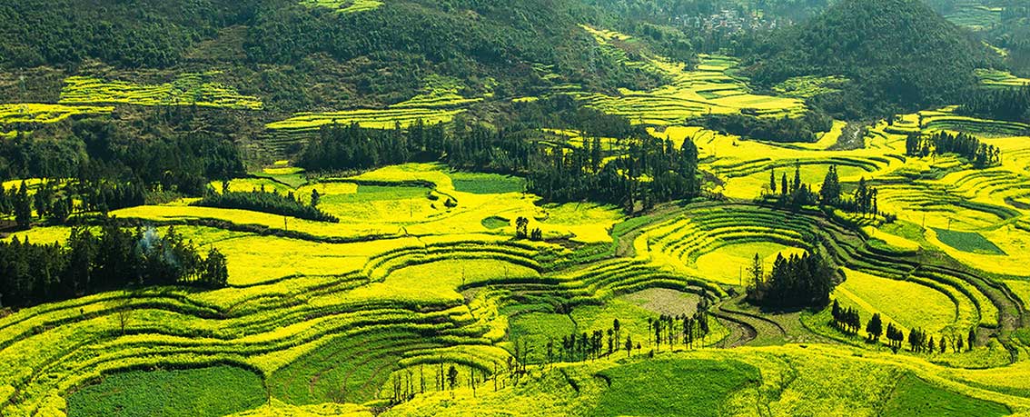 Yunnan Panoramic Tour